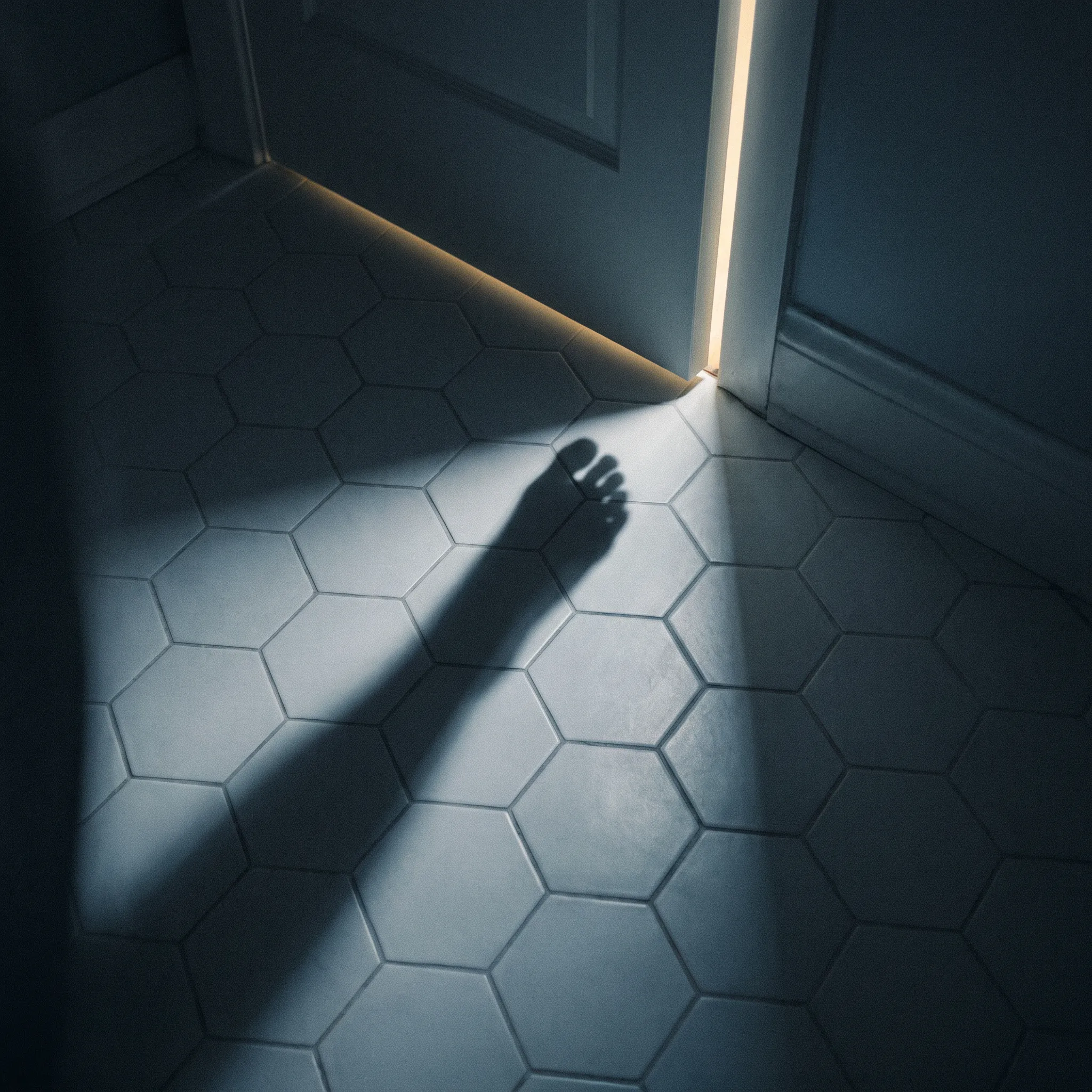 Cover art for Bathroom Floor by Ravyn Mae